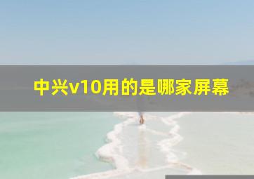 中兴v10用的是哪家屏幕