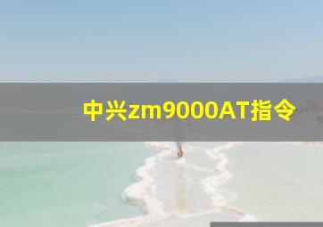 中兴zm9000AT指令