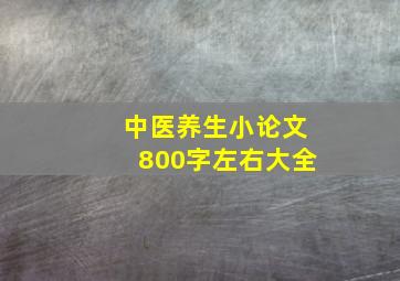 中医养生小论文800字左右大全