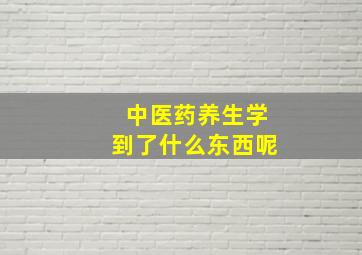 中医药养生学到了什么东西呢