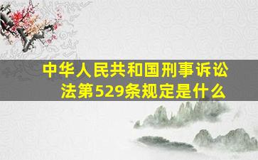 中华人民共和国刑事诉讼法第529条规定是什么