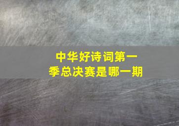 中华好诗词第一季总决赛是哪一期