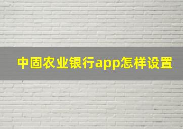 中固农业银行app怎样设置