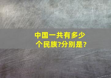 中国一共有多少个民族?分别是?