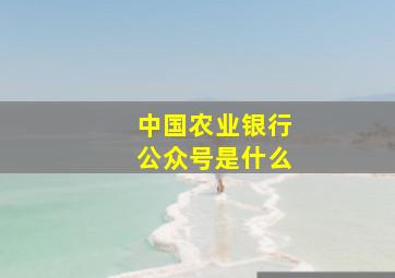 中国农业银行公众号是什么