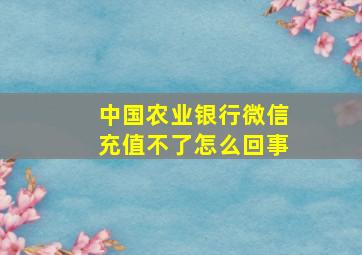 中国农业银行微信充值不了怎么回事