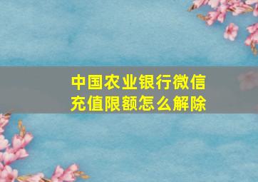 中国农业银行微信充值限额怎么解除