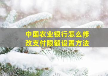 中国农业银行怎么修改支付限额设置方法