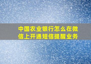 中国农业银行怎么在微信上开通短信提醒业务