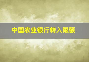 中国农业银行转入限额