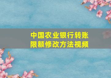 中国农业银行转账限额修改方法视频