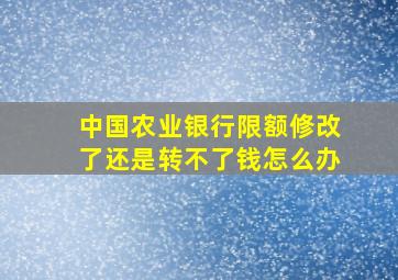 中国农业银行限额修改了还是转不了钱怎么办