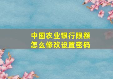 中国农业银行限额怎么修改设置密码