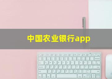 中国农业银行app