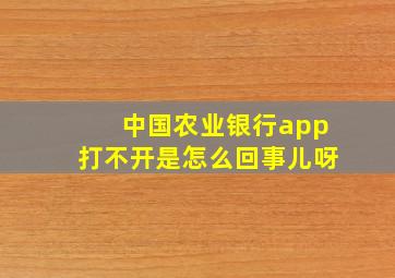 中国农业银行app打不开是怎么回事儿呀