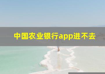 中国农业银行app进不去