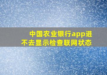 中国农业银行app进不去显示检查联网状态