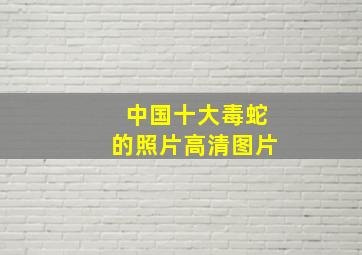 中国十大毒蛇的照片高清图片