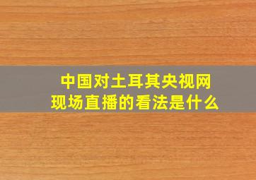 中国对土耳其央视网现场直播的看法是什么