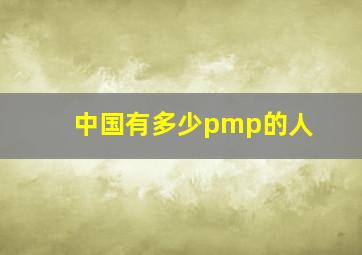 中国有多少pmp的人