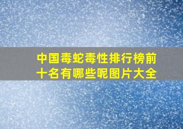 中国毒蛇毒性排行榜前十名有哪些呢图片大全