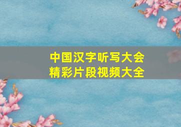 中国汉字听写大会精彩片段视频大全