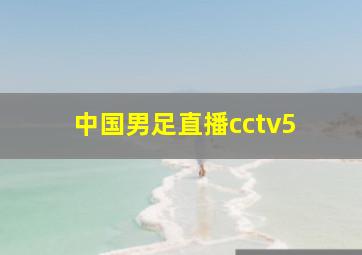 中国男足直播cctv5+