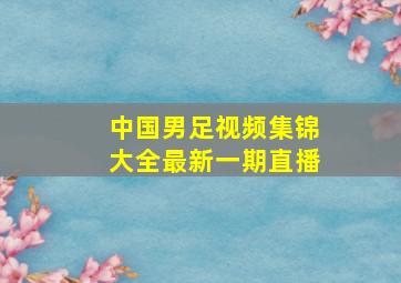 中国男足视频集锦大全最新一期直播