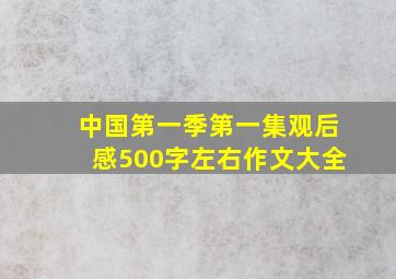 中国第一季第一集观后感500字左右作文大全