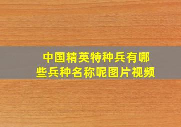 中国精英特种兵有哪些兵种名称呢图片视频