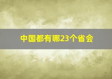 中国都有哪23个省会