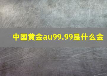 中国黄金au99.99是什么金