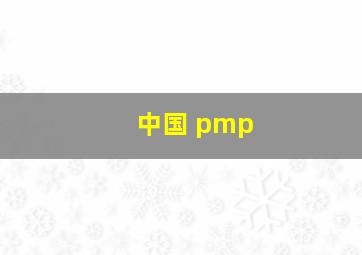 中国 pmp