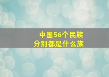 中国56个民族分别都是什么族