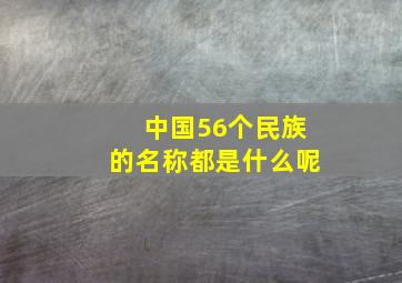 中国56个民族的名称都是什么呢