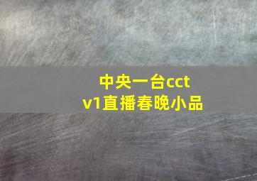 中央一台cctv1直播春晚小品