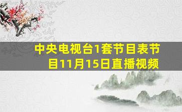 中央电视台1套节目表节目11月15日直播视频