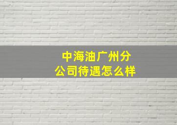 中海油广州分公司待遇怎么样