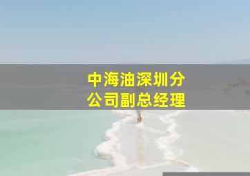 中海油深圳分公司副总经理