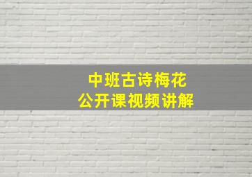 中班古诗梅花公开课视频讲解