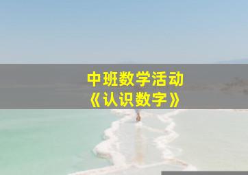 中班数学活动《认识数字》