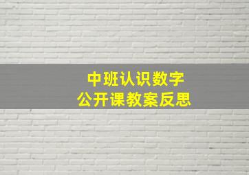 中班认识数字公开课教案反思