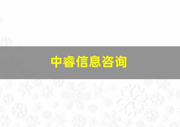 中睿信息咨询