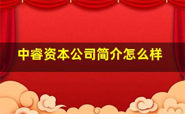 中睿资本公司简介怎么样