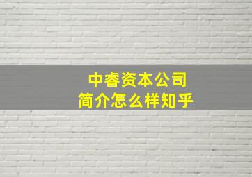 中睿资本公司简介怎么样知乎