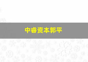 中睿资本郭平