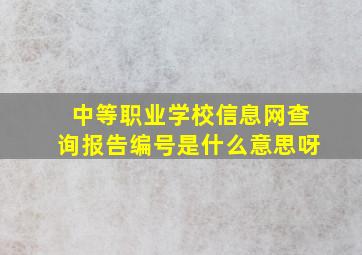 中等职业学校信息网查询报告编号是什么意思呀