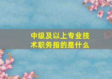 中级及以上专业技术职务指的是什么