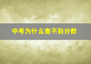 中考为什么查不到分数