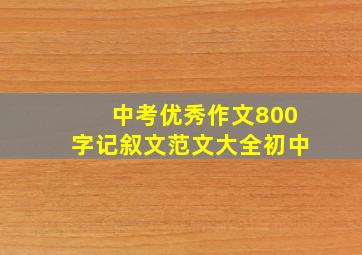 中考优秀作文800字记叙文范文大全初中